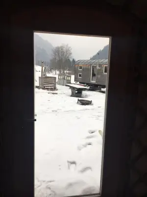 Evergrin im Winter