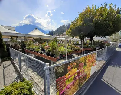 Ein allgemeiner Bergblick oder ein Berglick von der Ferienwohnung aus