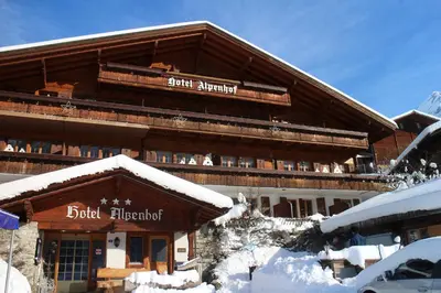 Alpenhof im Winter