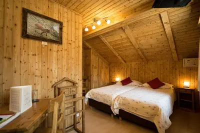 Ein Bett oder Betten in einem Zimmer der Unterkunft Hotel de Moiry Supérieur
