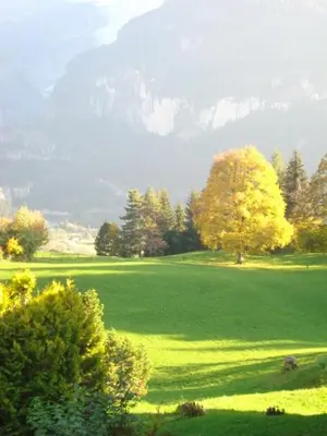 Naturlandschaft in der Nähe der Ferienwohnung