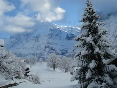 Chrinnengletscher im Winter