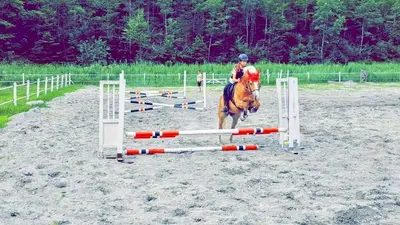 Reiten in diesem Bauernhof oder in der Nähe
