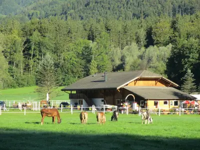 Tiere in diesem Bauernhof oder in der Nähe