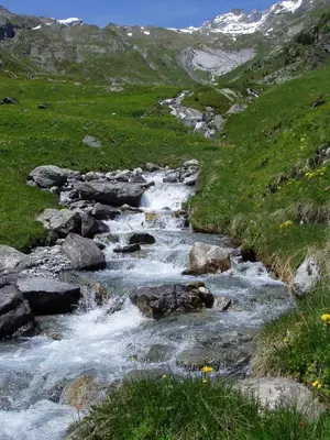 Naturlandschaft in der Nähe des Gasthauses