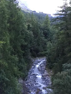 Naturlandschaft in der Nähe der Ferienwohnung