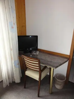 TV/Unterhaltungsangebot in der Unterkunft Hotel Steinbock Grindelwald