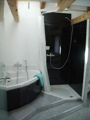 Ein Badezimmer in der Unterkunft Mountain-Panorama