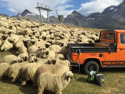 Naturlandschaft in der Nähe des Hostels