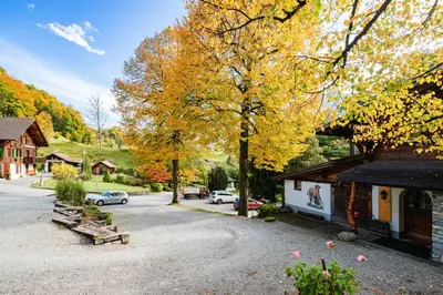 Ein Garten an der Unterkunft Hotel Lindenhof by Crossworld AG