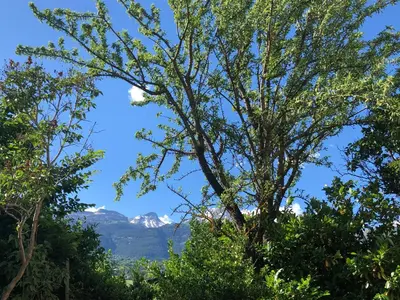 Naturlandschaft in der Nähe des Bed & Breakfasts