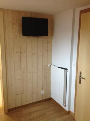 TV/Unterhaltungsangebot in der Unterkunft Hotel Hof und Post