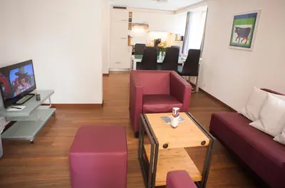 TV/Unterhaltungsangebot in der Unterkunft Eiger Guest House - Grindelwald