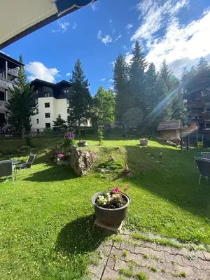 Ein Garten an der Unterkunft Hotel Adonis