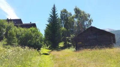 Naturlandschaft in der Nähe des Ferienhauses