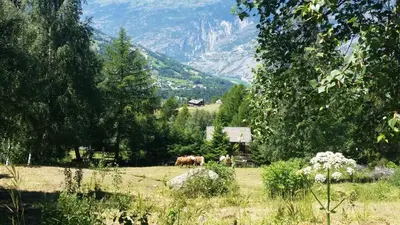 Naturlandschaft in der Nähe des Ferienhauses