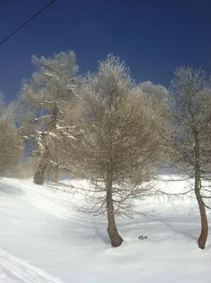 Alpenparadies im Winter