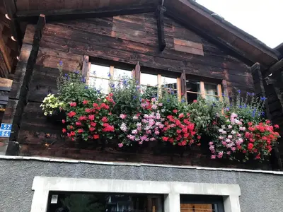 Ein Garten an der Unterkunft Schirle