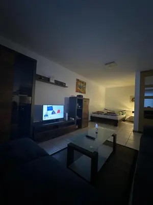 TV/Unterhaltungsangebot in der Unterkunft Studio Noyer C