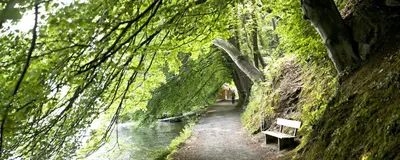 Naturlandschaft in der Nähe des Hotels