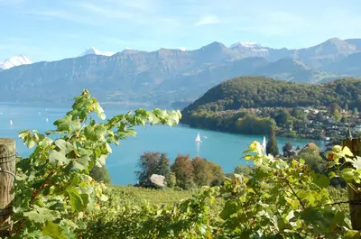 Naturlandschaft in der Nähe des Hotels