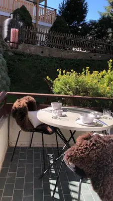 Ein Balkon oder eine Terrasse in der Unterkunft Le Bijou