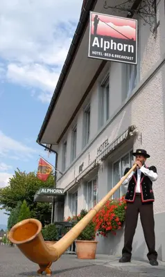 Gäste, die in der Unterkunft Hotel Alphorn übernachten