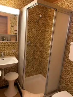 Ein Badezimmer in der Unterkunft Hotel Wildhorn