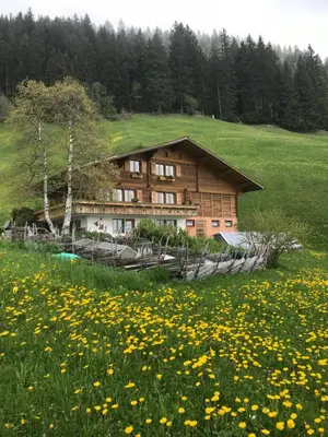 Naturlandschaft in der Nähe der Pension