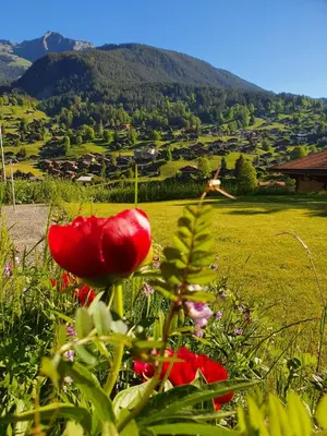 Ein allgemeiner Bergblick oder ein Berglick von der Ferienwohnung aus