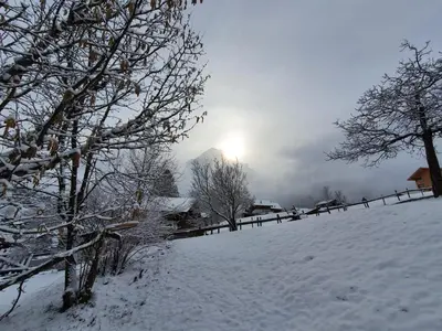 Apartment Lilalama im Winter