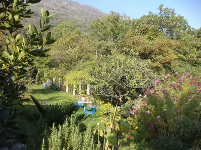 Naturlandschaft in der Nähe des Bed & Breakfasts