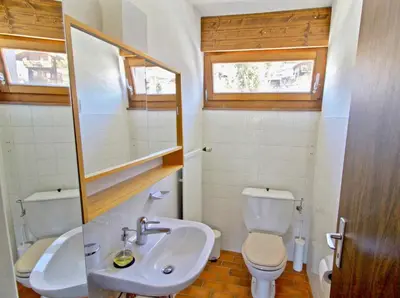 Ein Badezimmer in der Unterkunft Joli appartement ensoleillé à Vercorin