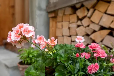 Ein Garten an der Unterkunft Apartment Werlen
