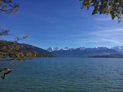 Naturlandschaft in der Nähe des Ferienhauses