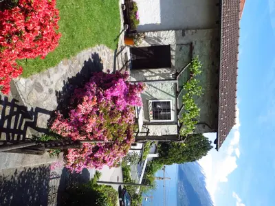 Ein Garten an der Unterkunft Rustico Storelli