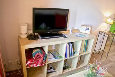 TV/Unterhaltungsangebot in der Unterkunft Appartement sous les combles - Chalet La Biolle - Vercorin