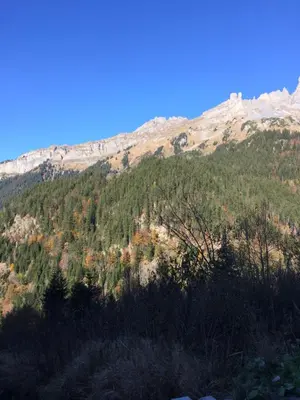 Naturlandschaft in der Nähe des Gasthauses