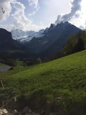Naturlandschaft in der Nähe des Gasthauses