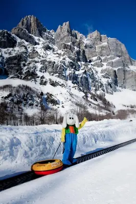 Skifahren in der Ferienwohnung oder in der Nähe