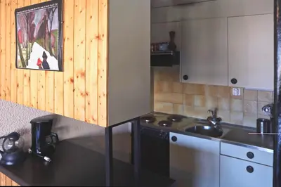 Küche/Küchenzeile in der Unterkunft Appartement à 200m de la télé-cabine de Vercorin