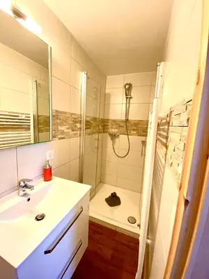Ein Badezimmer in der Unterkunft Apartments Steinbock
