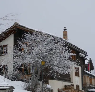 Châlet Birkhahn im Winter
