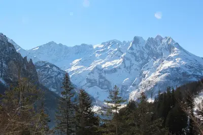 Naturlandschaft in der Nähe des Gasthauses