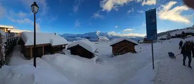 Nachtigall OG im Winter