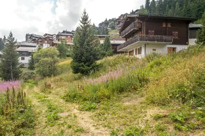 Naturlandschaft in der Nähe der Ferienwohnung
