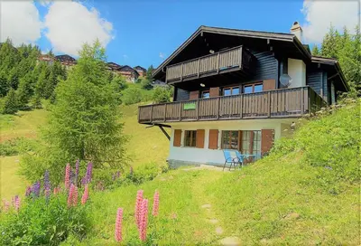Naturlandschaft in der Nähe der Ferienwohnung