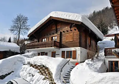 Stachelbeere OG im Winter