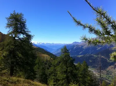 Naturlandschaft in der Nähe des Chalets