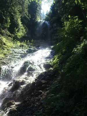 Naturlandschaft in der Nähe der Pension
